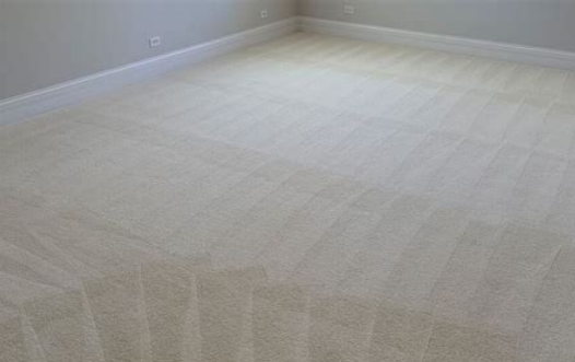 Chicago Carpet Care