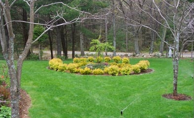 ECOSYSTEMS SERVICES INC