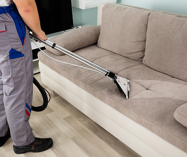 Green Carpet Cleaning