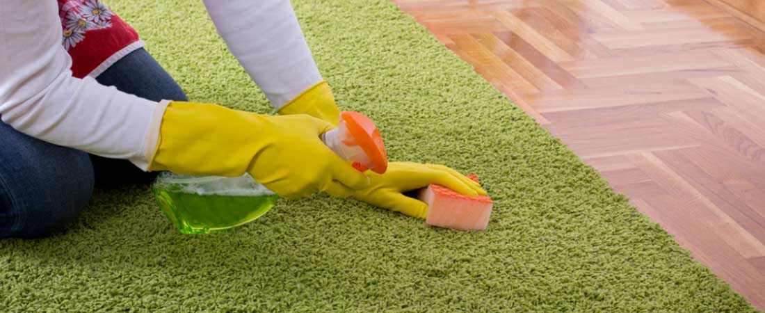 Green Carpet Cleaning